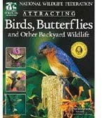 birdbutterfly